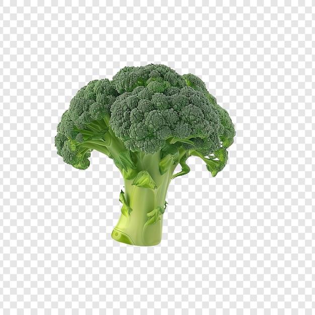 PSD fresh green broccoli