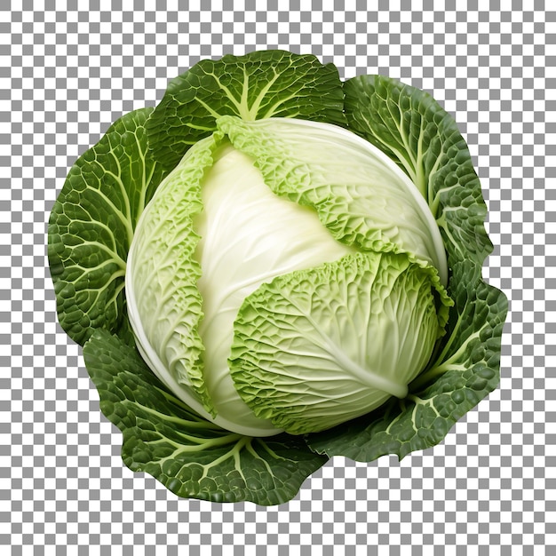 Fresh Green Cabbage isolated on a transparent background