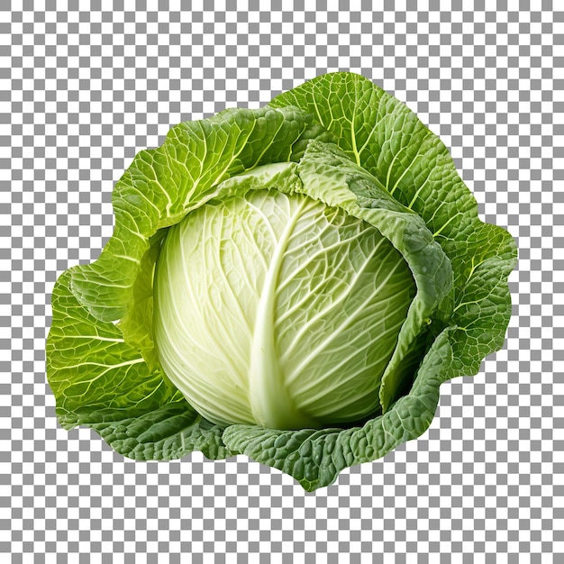 Fresh Green Cabbage isolated on a transparent background