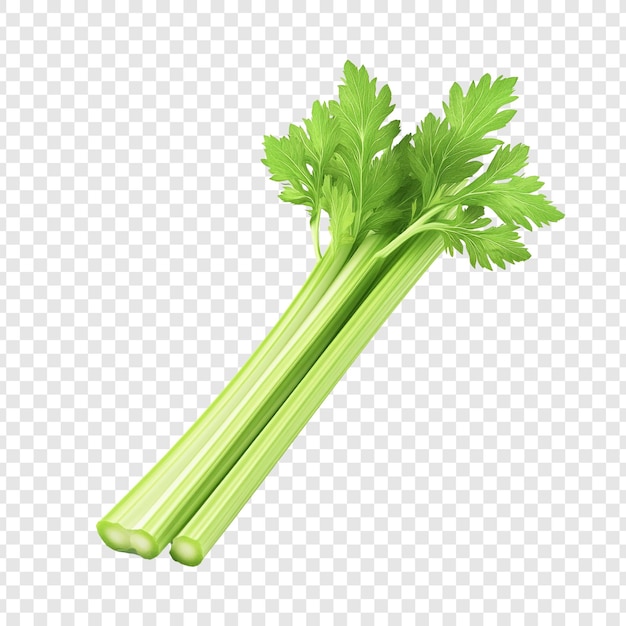 PSD fresh green celery stalks