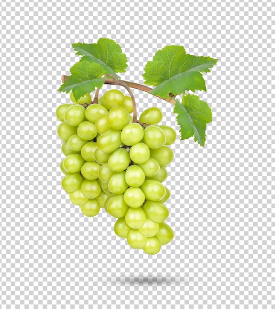 Fresh green grape isolated Premium PSD