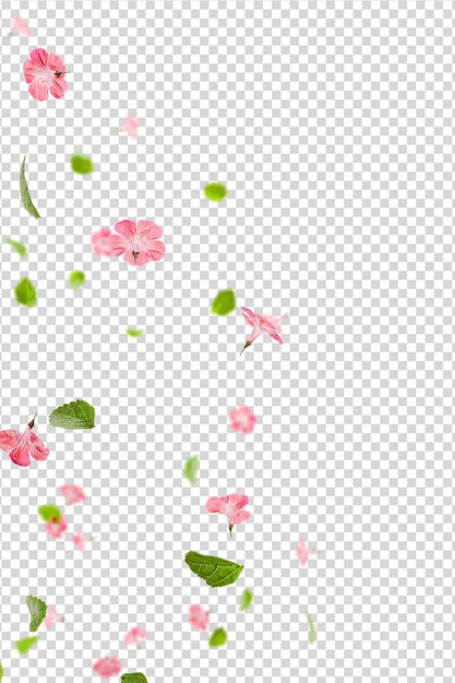 PSD fresh green leaves with pink flowers overlay background