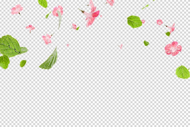 Fresh green leaves with pink flowers overlay background