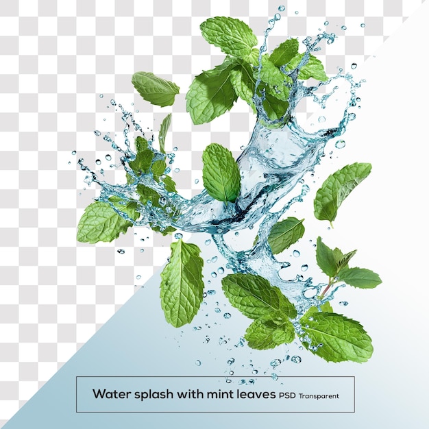 Fresh green mint leaves splashing through clear water creating a vibrant and refreshing scene i