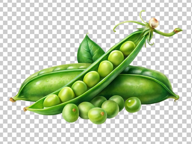 PSD fresh green peas on a transparent background