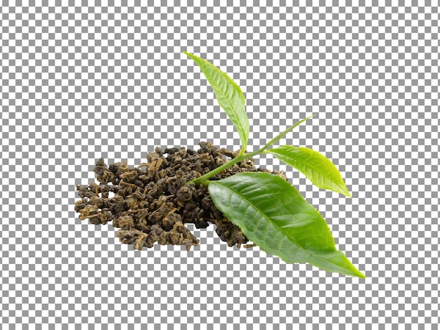 Fresh green tea with leaf 2 isolated on transparent background