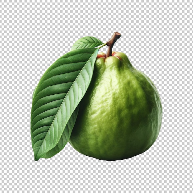 Fresh guava fruits with leaves isolated transparent background Ai generative