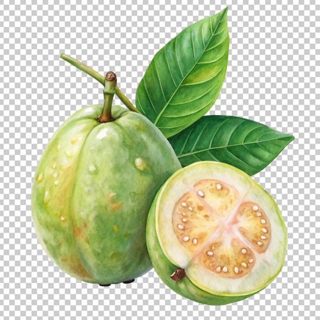 Fresh guava png