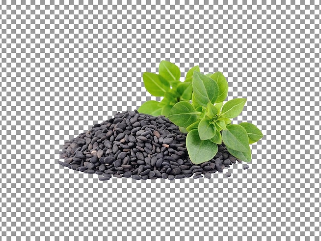 Fresh heap of basil seeds with leaves on transparent background