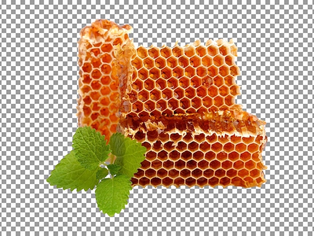 Fresh honeycombs with leaf isolated on transparent background