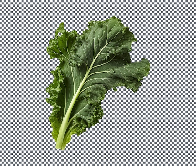 Fresh kale leaf isolated on a transparent background