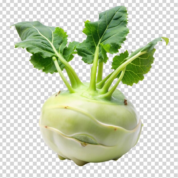 PSD fresh kohlrabi isolated on transparent background