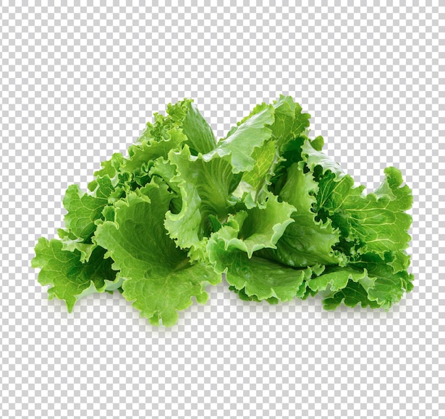 Fresh lettuce isolated Premium PSD