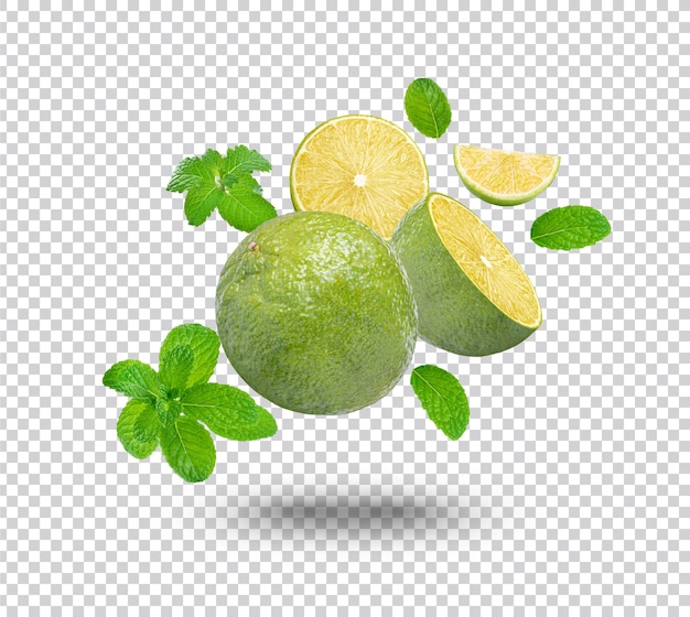 Fresh lime with mint leaves isolated