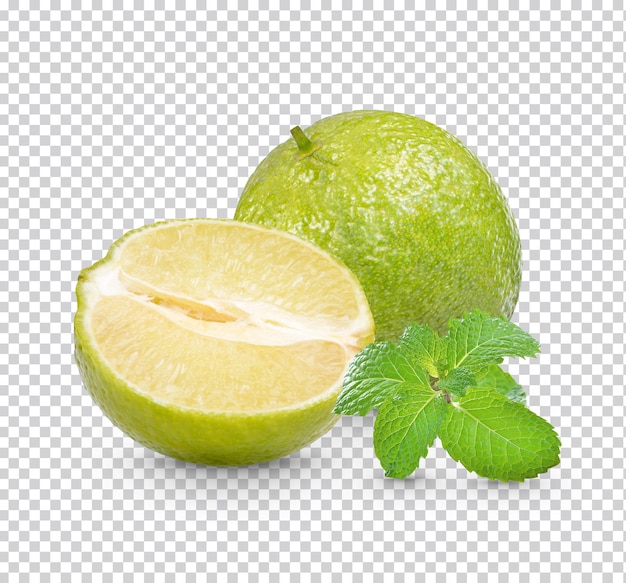 Fresh lime with mint leaves isolated