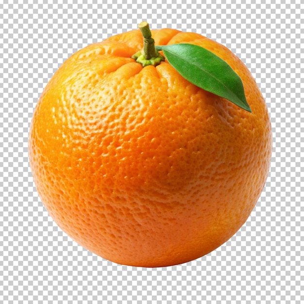 fresh orange