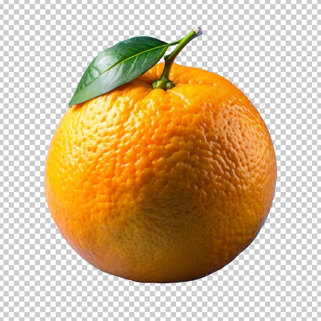 fresh orange