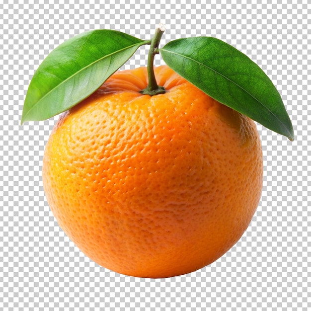 fresh orange