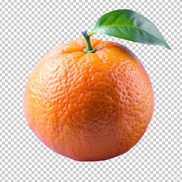 fresh orange