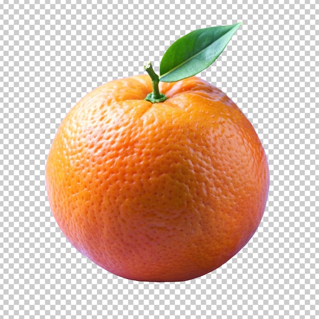 fresh orange