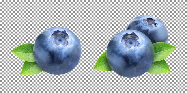 Fresh pair of blueberry isolated on a transparent background