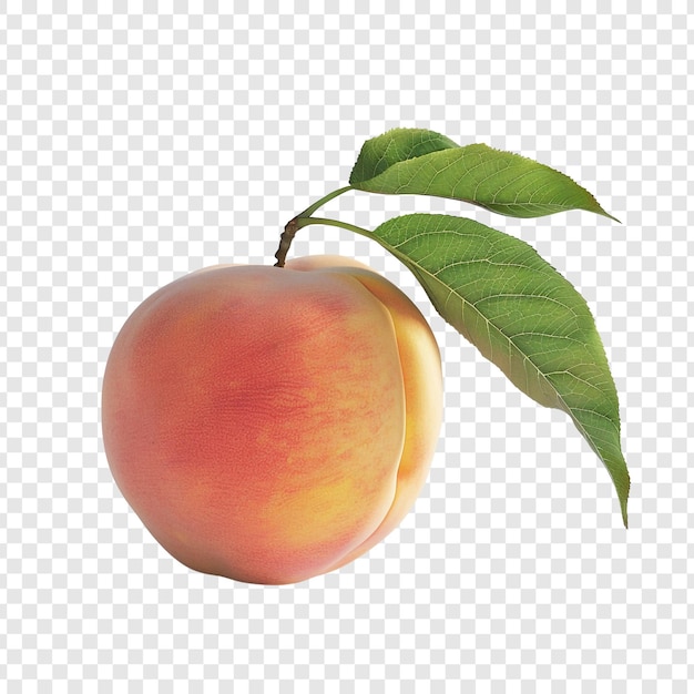 PSD fresh peach with green leaves