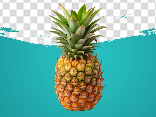 fresh pineapple isolated