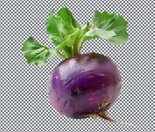 Fresh Purple turnip isolated on transparent background