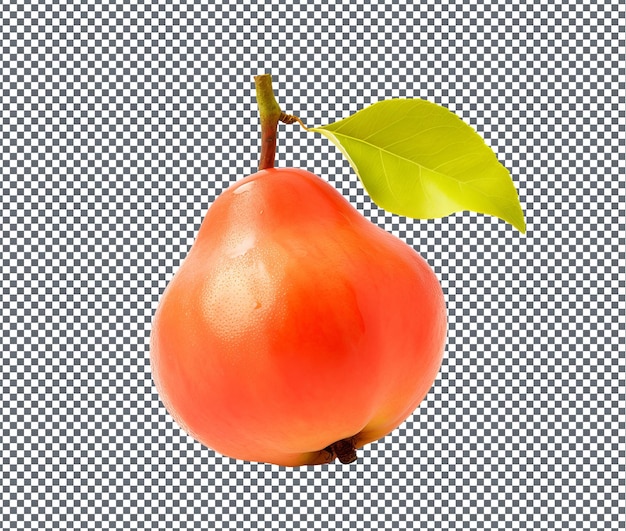 Fresh Quixotic quince isolated on transparent background