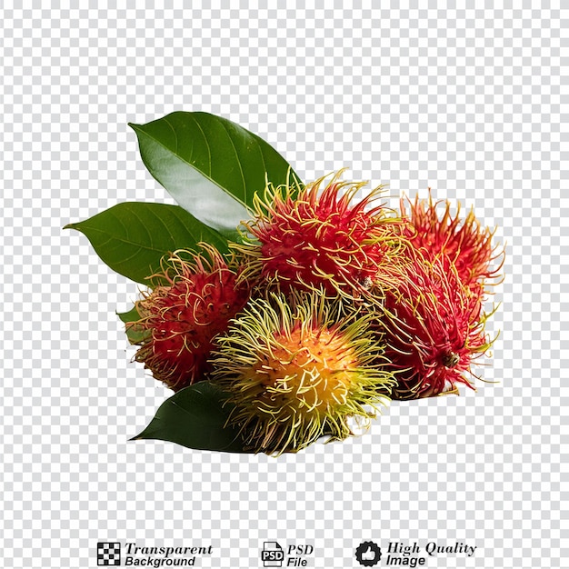 PSD fresh rambutan fruit with leaves isolated on transparent background