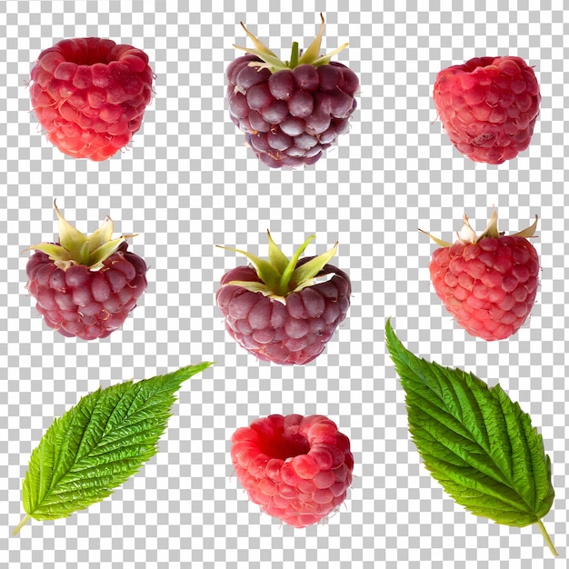 fresh raspberry isolated on transparent background