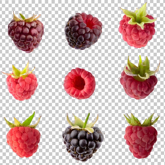 fresh raspberry isolated on transparent background