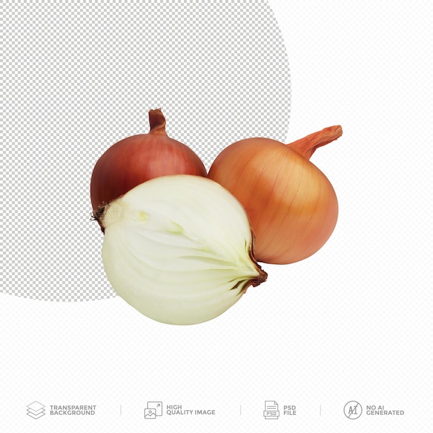 Fresh raw onion on transparent background