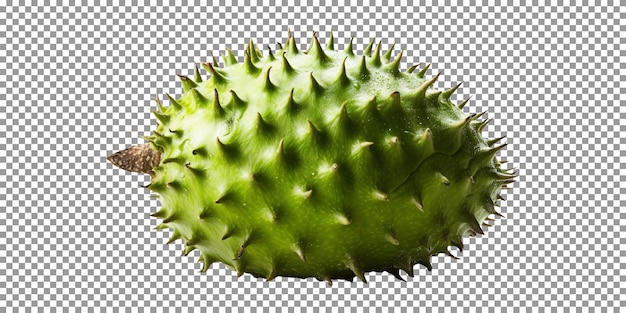 Fresh single guanabana fruit isolated on transparent background