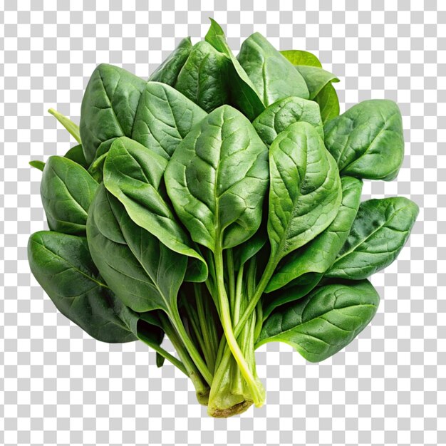 Fresh spinach isolated on Transparent background