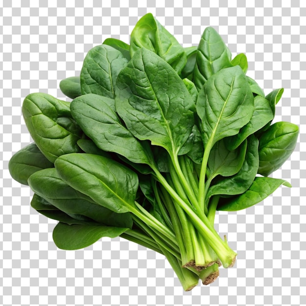 Fresh spinach isolated on Transparent background