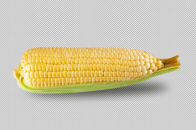 Fresh sweet corn isolated on alpha background