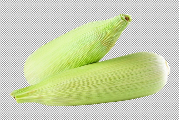 Fresh sweet corn isolated on a transparent background