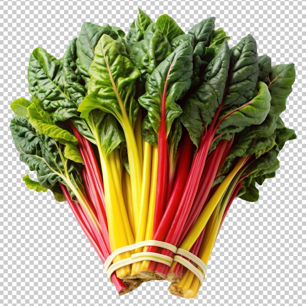 PSD fresh swiss chard vegetable