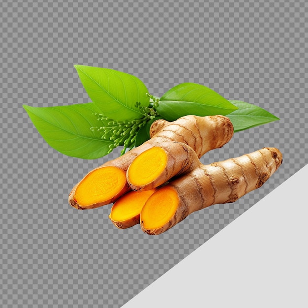 Fresh turmeric with leaves png isolated on transparent background