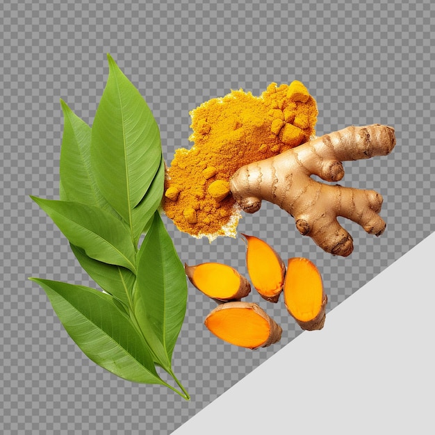 Fresh turmeric with leaves png isolated on transparent background