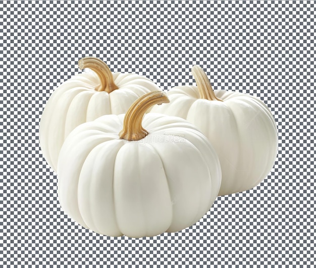 Fresh White Pumpkin isolated on transparent background