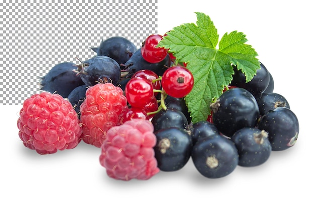 Fresh wild berries with leaves isolated on transparent background