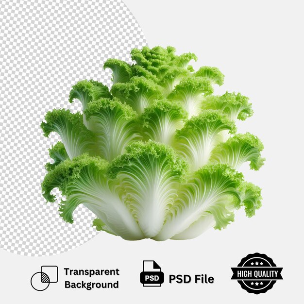 Frillice Iceberg Lettuce isolated on transparent background