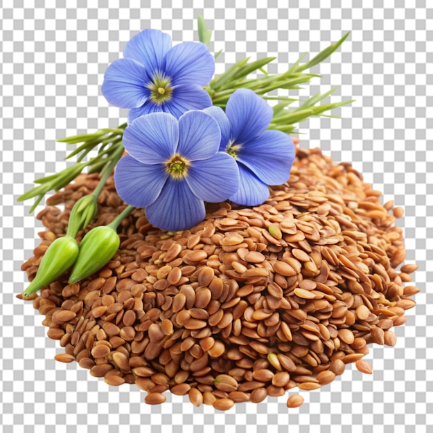 PSD a frond view flax seed and flax flowers closeup transparent background