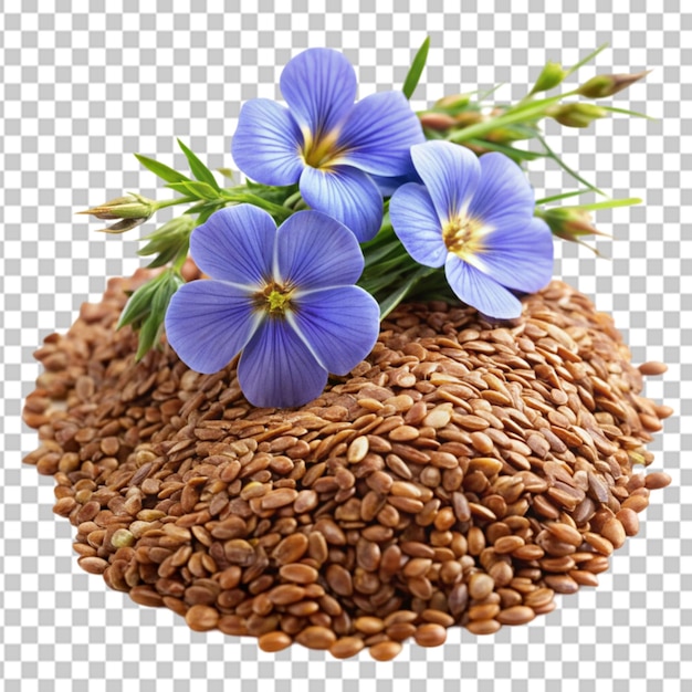 PSD a frond view flax seed and flax flowers closeup transparent background