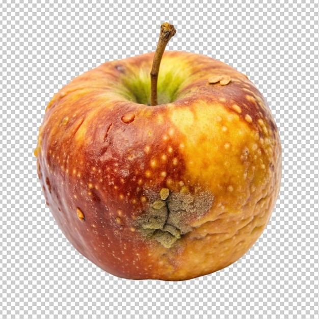 PSD front view close up of rotten spoiled apple fruit transparent background