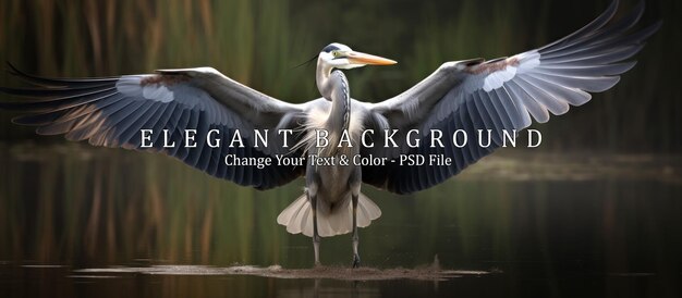 Front view of Gray heron Ardea cinerea