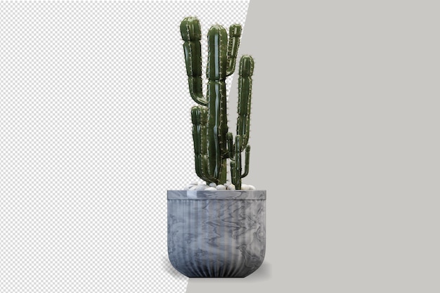 Front view of plant in pot in 3d rendering