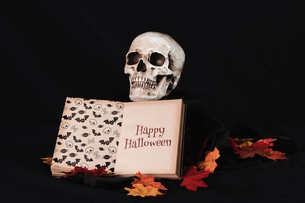 Front view of a skull with a book